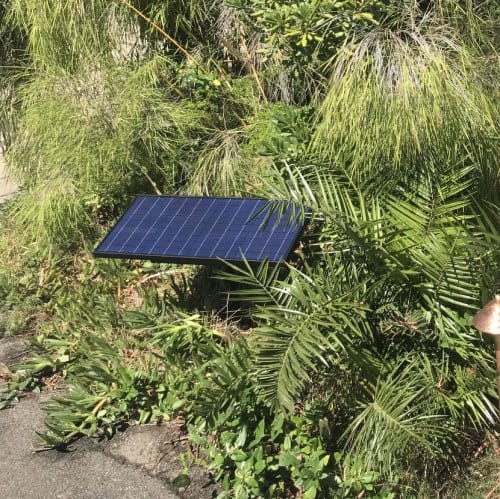 Solar In Plants