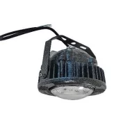 C1D2 20 watt Flood Light